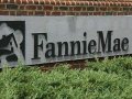      Fannie Mae  Freddie Mac 