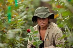 Россия призвала Колумбию ввозить растения в обход Нидерландов