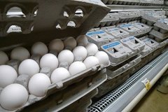Россельхознадзор задумался о запрете американских яиц