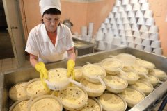 Производство сыра в России выросло на 30 процентов