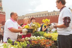 Россия готова запретить экспорт из стран ЕС цветов и шоколада фото