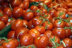 Введение санкций против Турции лишит российский рынок половины помидоров