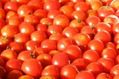 Турецкую экономику разрушит эмбарго на томаты и огурцы