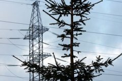 Восстановление поставок электричества в Крым оказалось незначительным