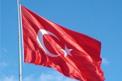 Турция хочет провести с РФ переговоры по "Турецкому потоку"