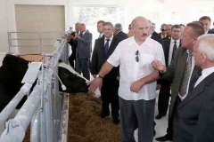 Лукашенко думает подружиться с ЕС, Россия - запретить белорусское молоко